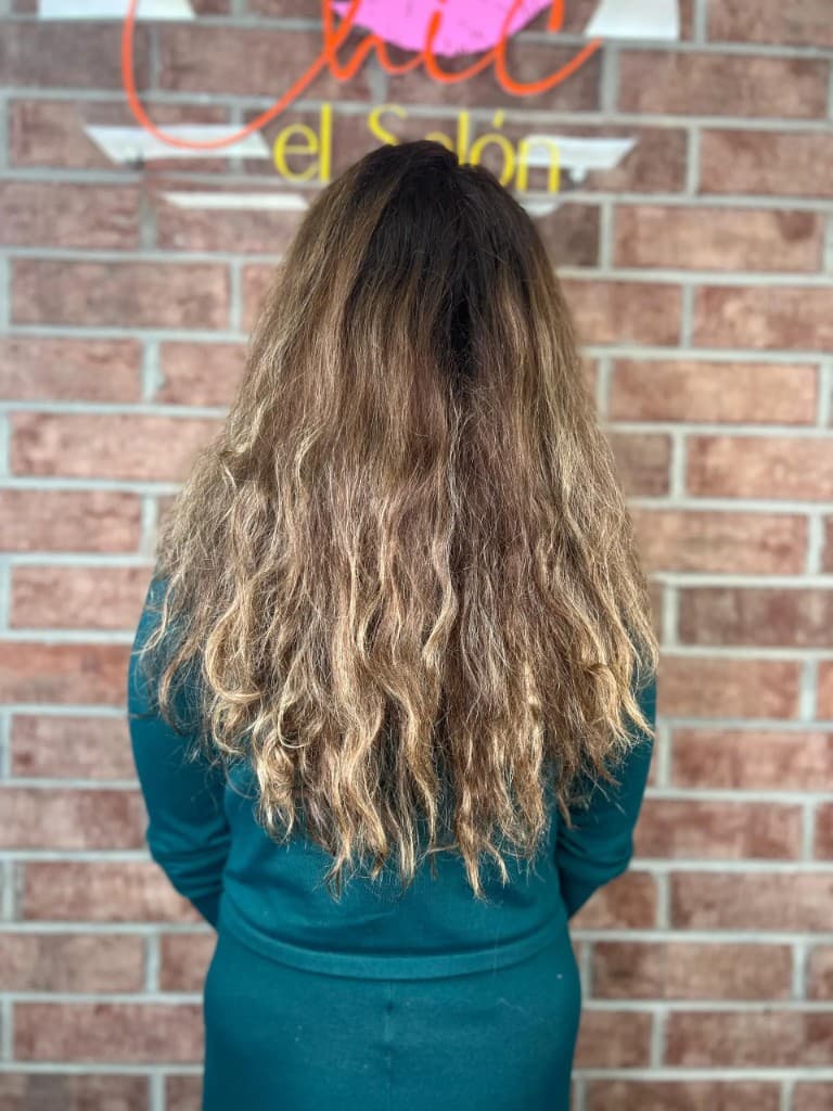 Before — Brunette Balayage at Chic Salon Charlotte